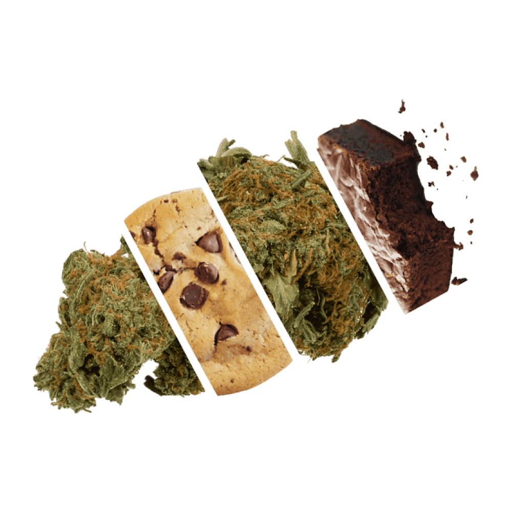 Highatus - Chronbon 10PK - Chocolate Fudge 100MG